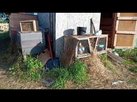 Видео: Погода вроде в норме👍👍Работы продолжаются.
