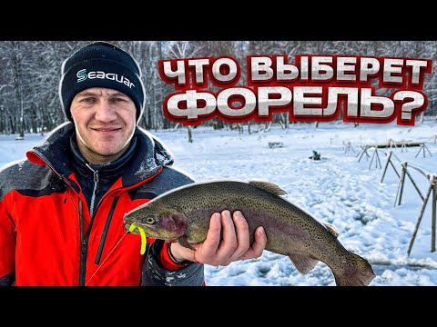 Видео: ВЫБОР приманок зимой / От чего в ВОСТОРГЕ форель / Подводная съемка Парус Север