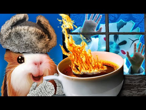 Видео: 🥶 ЗЛОЙ МОРОЖЕНЩИК в реальной жизни | Страшилки на Ночь от МОРСКИХ СВИНОК Бузи и Кузи