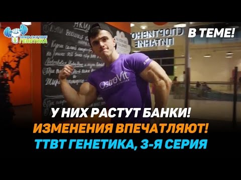 Видео: У них растут банки! Изменения впечатляют! "ТТВТ - Генетика!", 4 сезон, 3 серия