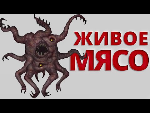 Видео: ЖИЗНЬ ЖИВОГО МЯСА ( CARRION )