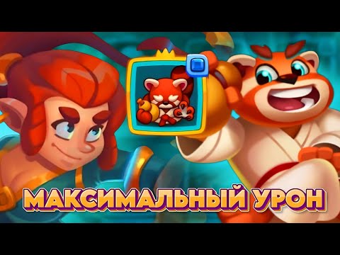 Видео: RUSH ROYALE 24.1 | ДЖЕЙ — ЛУЧШИЙ ЧЕМПИОН МАСТЕР СТИХИЙ | КАК ИГРАТЬ | РАШРОЯЛЬ