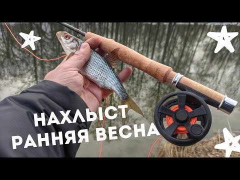 Видео: НАХЛЫСТ x МАЛАЯ РЕКА ВЕСНОЙ x MAXCATCH V-LIGHT 6.6ft 2wt #81