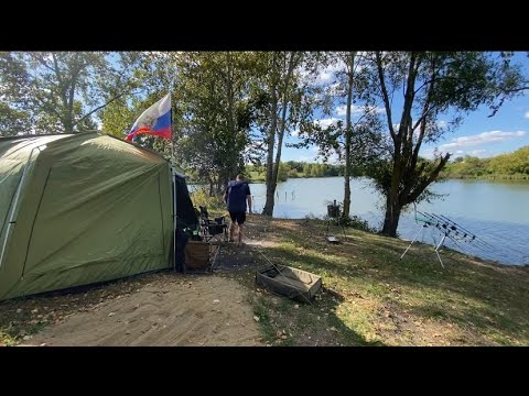 Видео: Дикая ОРЛОВКА #carpfishing  #рыбалка 