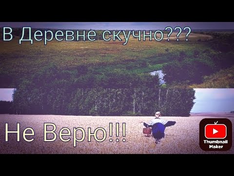 Видео: Орловская область! Где-то под Мценском! Русская деревня! Ну и что, что мобильная сеть отсутствует!)