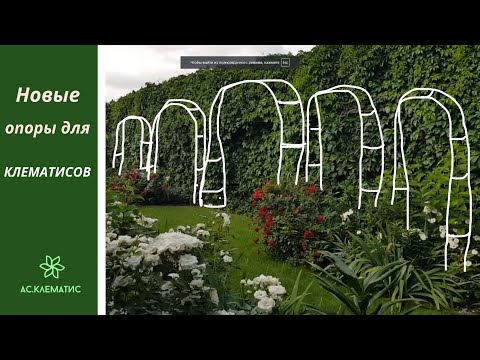 Видео: НОВЫЕ ОПОРЫ для клематисов в Моём саду!