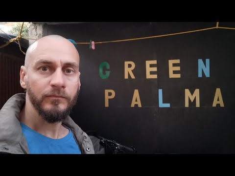 Видео: Турция 08.11.2025. Грузия. Кутаиси. Стрёмный отель. Обжиралово хинкалями. 