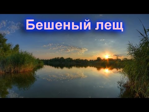 Видео: Русская рыбалка 3.9. Бешеный лещ на Лопасне (11 разряд). Заработок от 100 000 до 250 000 в сутки.