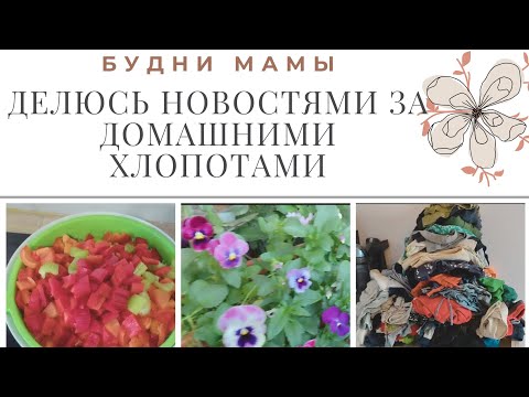 Видео: Будни мамы/ Делюсь новостями за домашними хлопотами