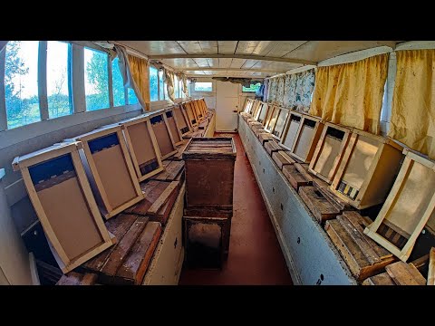 Видео: Зарядил полный павильон! Заселяем ульи - старт сезона! Приехали 50 пчелопакетов