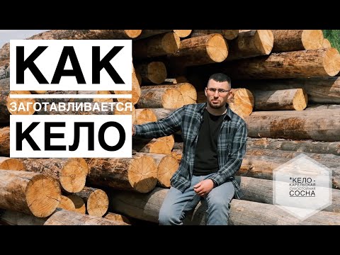 Видео: Как  заготавливается КЕЛО