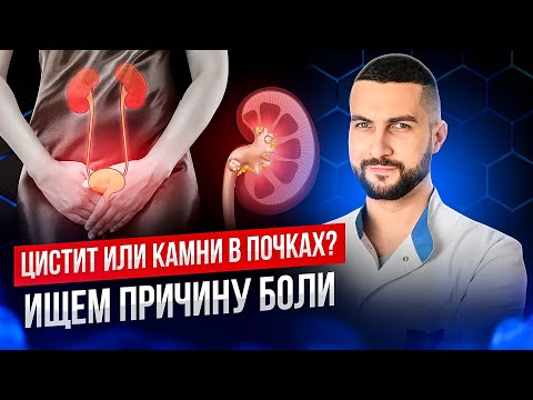 Видео: Разница в симптомах цистита и камней в почках