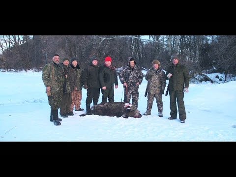 Видео: Охота на кабана перед закрытием сезона, 37с. [Трофейная охота]