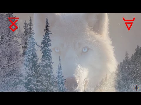 Видео: Утро СваРАга наступает! Проснитесь Русы - Вас величье ждёт!