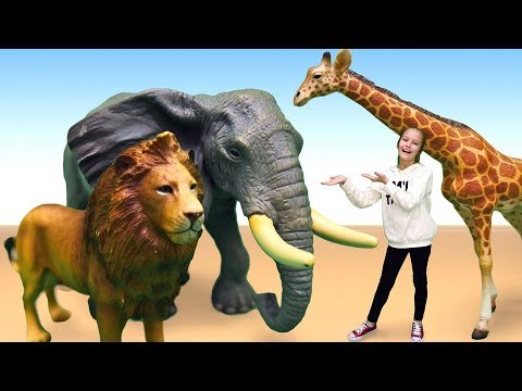 Видео: Видео про развивающие игры — Животные Collecta — Дикая природа