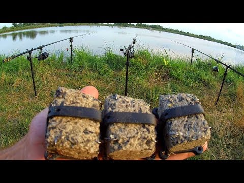Видео: ЖИРНЫЙ ЗАКОРМ НА ПЛОТВУ! КАРПА ЗАБИЛА МЕЛОЧЕВКА отдых на РЫБАЛКЕ С НОЧЕВКОЙ