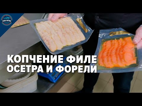 Видео: Копчение филе осетра и форели