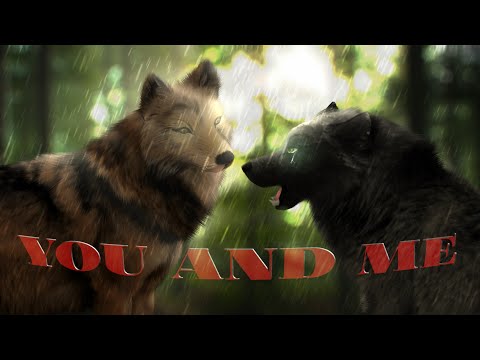 Видео: Ты и я. Шляйх фильм про Волков