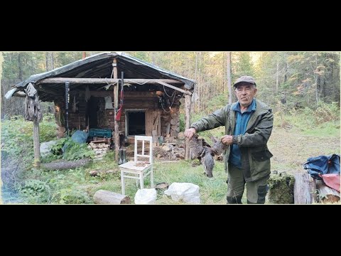 Видео: грибной рай  2. добываем рябчика. вторая жизнь у таежной избы
