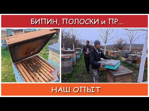Видео: БИПИН. Быть или не быть? Вечный вопрос. Наш опыт и наше видение.