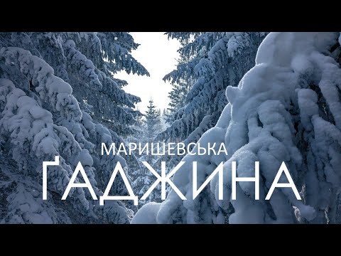 Видео: Похід до Шпиць через Маришевську та Ґаджину. Хуртовина. Ночівля в колибі. Обхід с.Бистрець