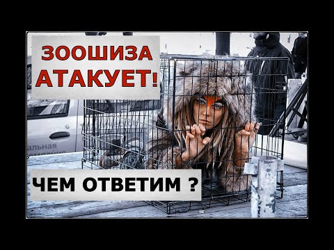 Видео: "Зоошиза"- атакует! Чем ответим псих-защитникам животных?