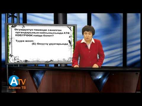 Видео: Биология 2