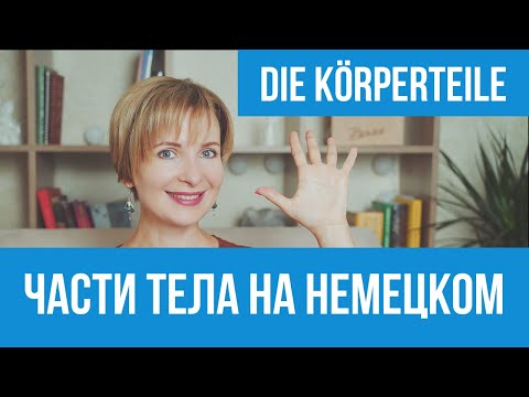 Видео: Части тела на немецком языке. Немецкий для начинающих.