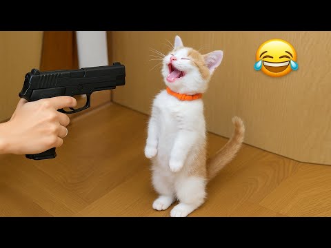 Видео: Попробуй не засмеяться 😂 Самые смешные животные 😹🐶 Часть 14