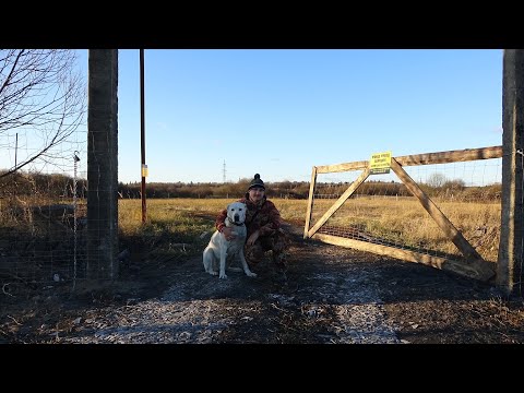 Видео: Установили забор из шарнирной сетки .Работа мульчера. ФерМа с нуля №38