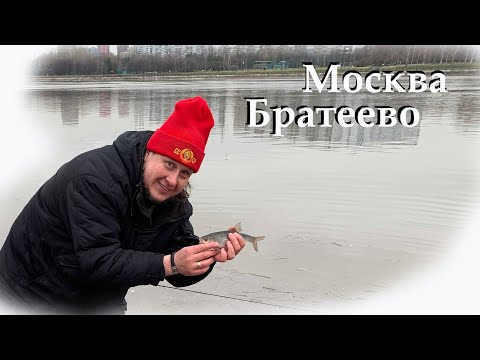 Видео: Братеево, Москва, Лещи, Ершы, Плотва и не только Все о рыбалке на Москва Реке!!!