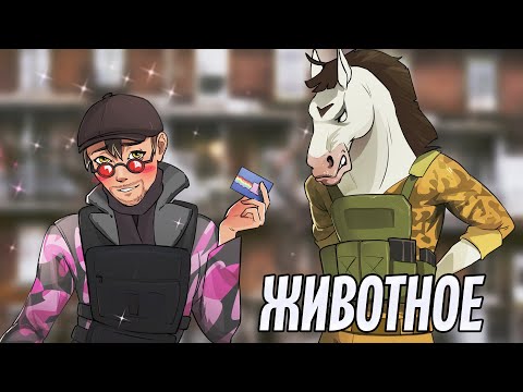 Видео: Животное | Rainbow Six Siege