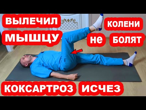 Видео: Вылечи эту мышцу и уйдет БОЛЬ в КОЛЕНЯХ и ТАЗОБЕДРЕННЫХ СУСТАВАХ. КОКСАРТРОЗА не будет НИКОГДА!