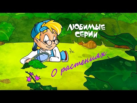 Видео: О РАСТЕНИЯХ - Сборник любимых серий