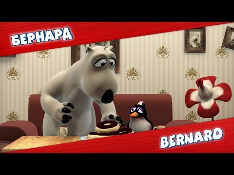 Видео: БЕРНАРД: Хищное растение и многое другое | Подборка серий