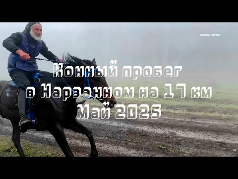 Видео: Конный пробег по пересеченной местности глазами участника. Нарзанный, 17 км, май 2025