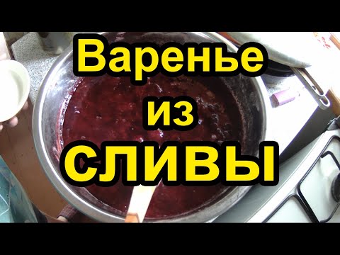 Видео: Варенье из СЛИВЫ на зиму без косточек. Варим густое варенье из сливы. Делаем варенье джем рецепт