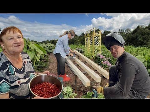 Видео: ЯГОДНАЯ ПОРА/СТРОИМ ПЕРГОЛУ/ПРЕОБРАЖЕНИЕ БЕСЕДКИ/МОЙ ПЕРВЫЙ САМОСТОЯТЕЛЬНЫЙ СПЛАВ