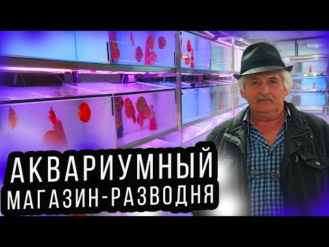 Видео: Аквариумный Зоомагазин - РыбоРазводня в Германии! Продают и разводят в одном помещении! 4К