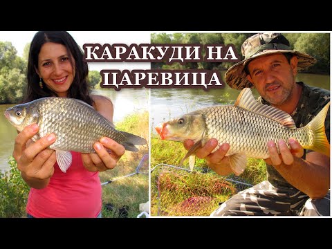Видео: Риболов на Каракуди на Плувка с Царевица на Река Марица // Float Fishing for Crucian Carp with Corn