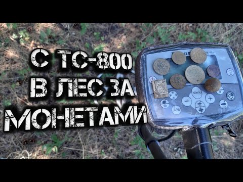 Видео: КОП. МОНЕТЫ. ЛЕС. 🔥 С металлодетектором тс-800.