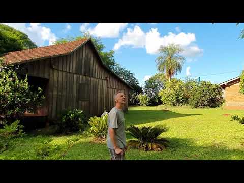 Видео: Городской парк. Манго. Hohenau 14.12.20