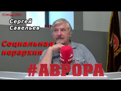 Видео: С.В. Савельев - Социальная иерархия