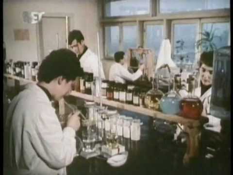 Видео: Прилеп, вчера и денес (1959)