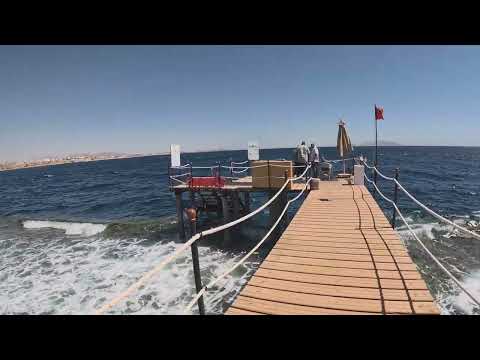 Видео: Amphoras Blu 4. Пляж. #amphorasbeach #redseaegypt #красноеморе #sharmelsheikhegypt #4kvideo 