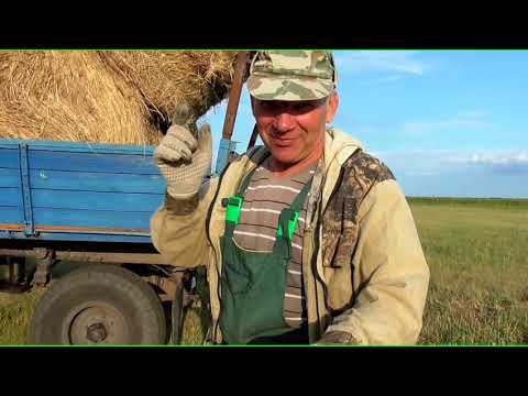 Видео: Как быстро очистить поле от рулонов сена Сенокос 20 Бажениты