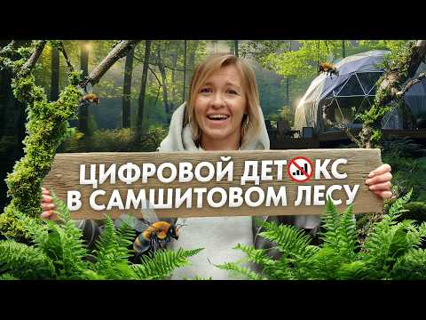Видео: Глэмпинг-отель Villy Uley в Сочи: Подходит ли для ретритов? Обзор с Анастасией Бодрячковой