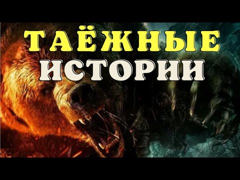 Видео: Ужасы тайги/ Мистические страшные истории/ Истории таёжных охотников/ Охотничьи байки