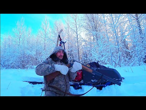 Видео: ЗАВАЛИЛ ДВУХ ПЕТУХОВ! ОХОТА НА БОРОВУЮ ДИЧЬ В ГЛУХОЗИМЬЕ / ПОХОД НА ЛЫЖАХ В ТАЙГУ. МОТОСОБАКА БАРС.