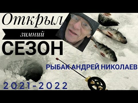 Видео: Пруд в деревне Ликино, Щедрино. Рыбак Андрей Николаев. Ловим окуня и плотву. Вторая рыбалка зимой.